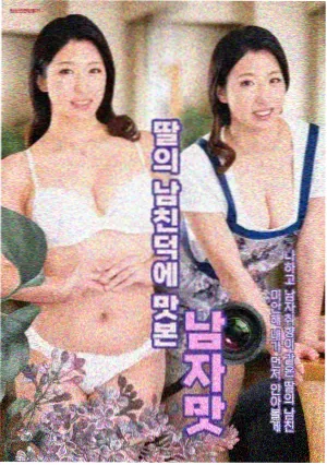 南方来客 封面